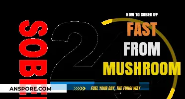 Quick Recovery Tips: Safely Sobering Up After Mushroom Consumption