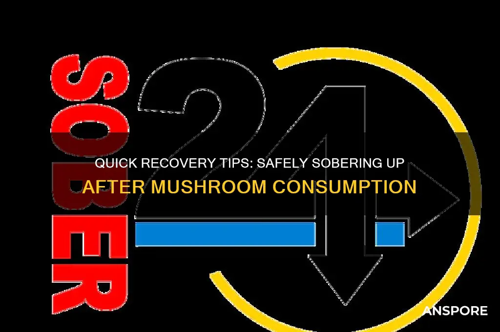 how to sober up fast from mushrooms