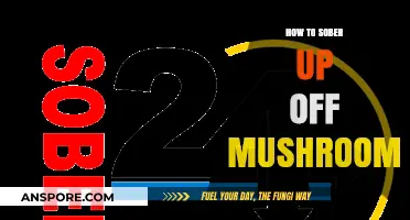 Quick Tips to Safely Sober Up After a Mushroom Trip