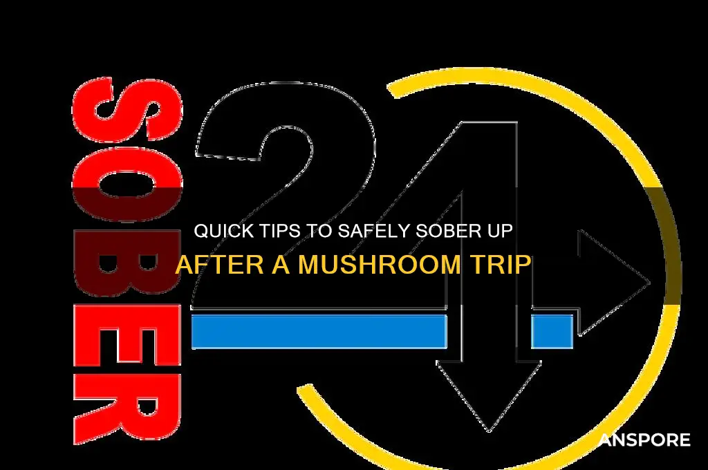 how to sober up off mushrooms
