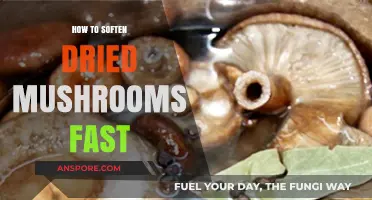 Quickly Revive Dried Mushrooms: Fast Softening Tips and Tricks