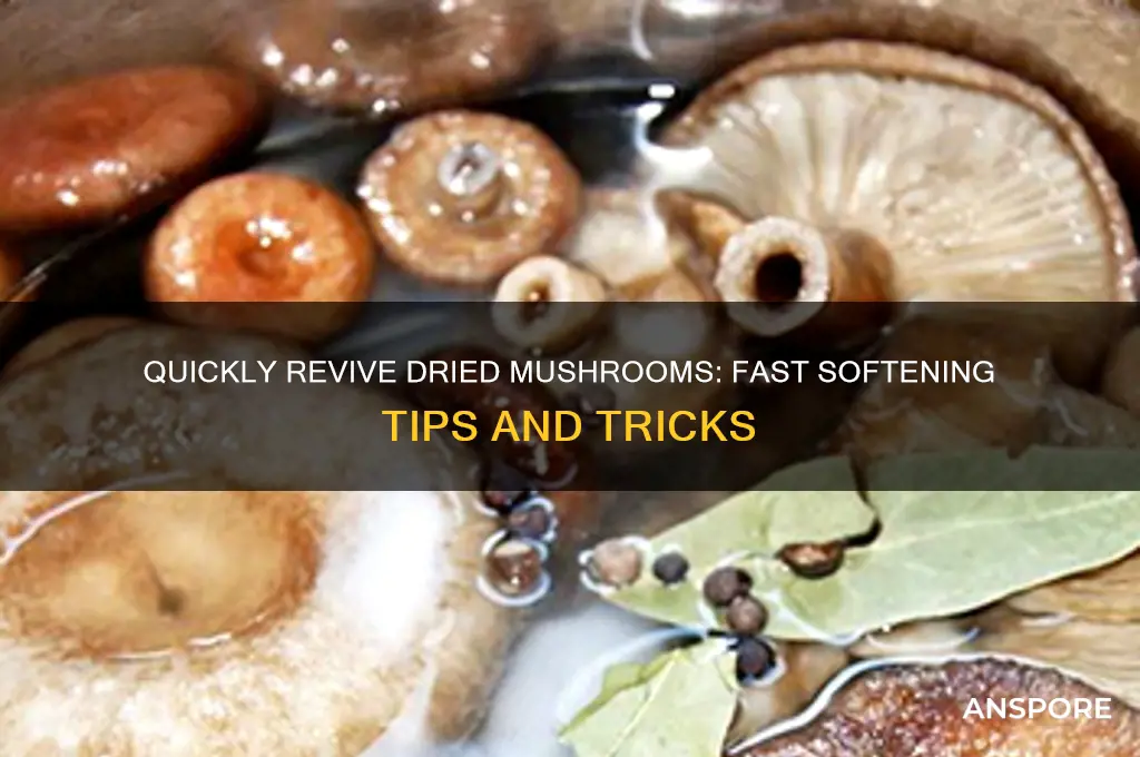 how to soften dried mushrooms fast