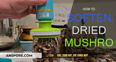 The Magic of Rehydrating Mushrooms: Softening Techniques