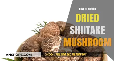 Revive Your Dried Shiitake Mushrooms: Simple Softening Techniques for Perfect Texture