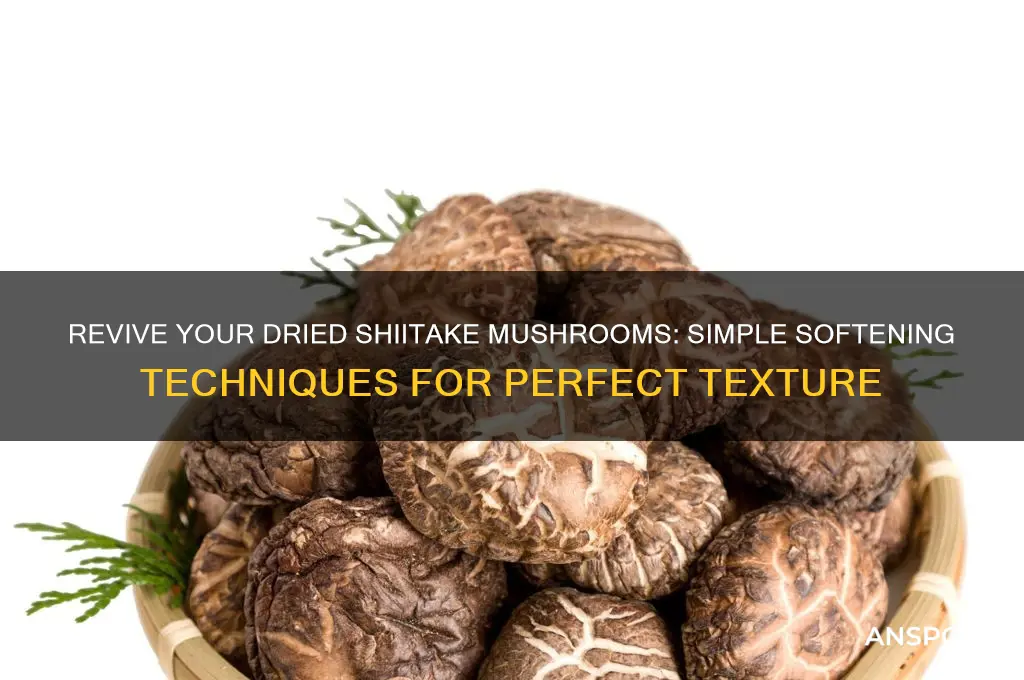 how to soften dried shiitake mushrooms