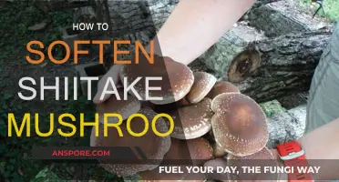 Shiitake Softening: Quick Tips for Tender Mushrooms