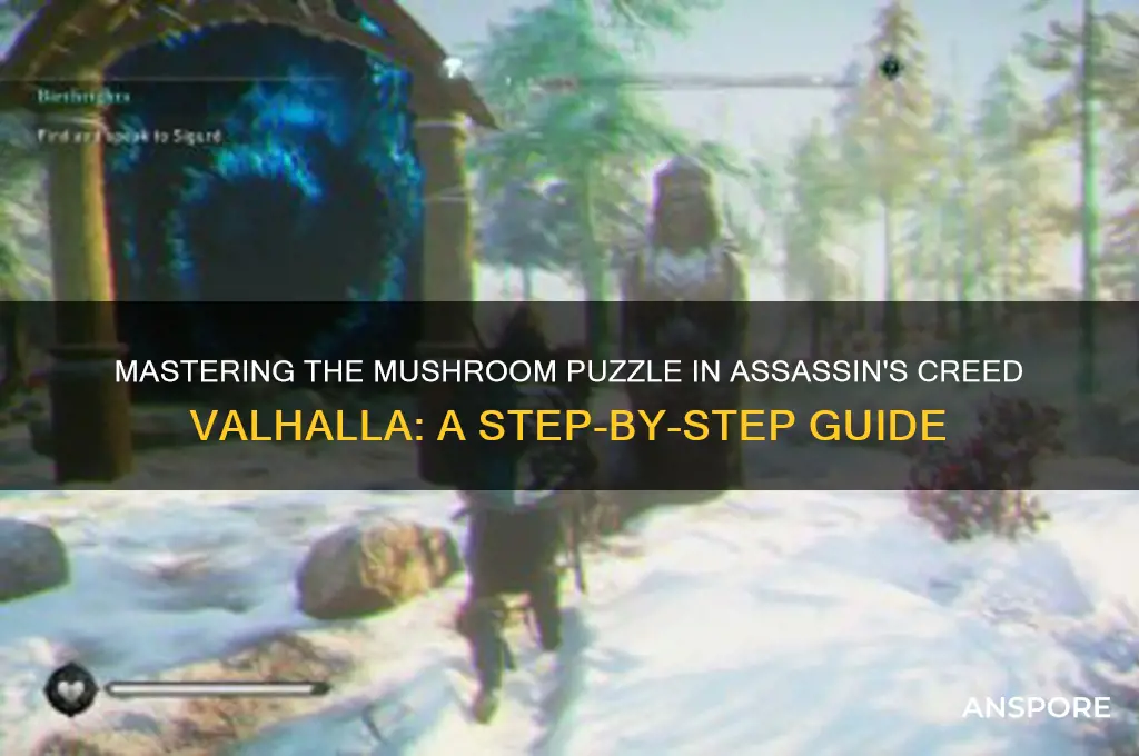 how to solve mushroom puzzle valhalla