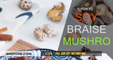 Soy-Braised Mushrooms: A Simple, Savory Delight