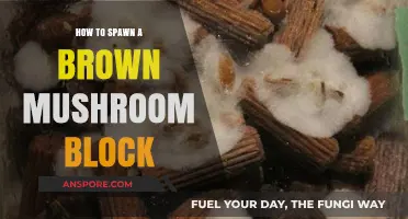 Mastering Minecraft: Crafting the Perfect Brown Mushroom Block Spawn