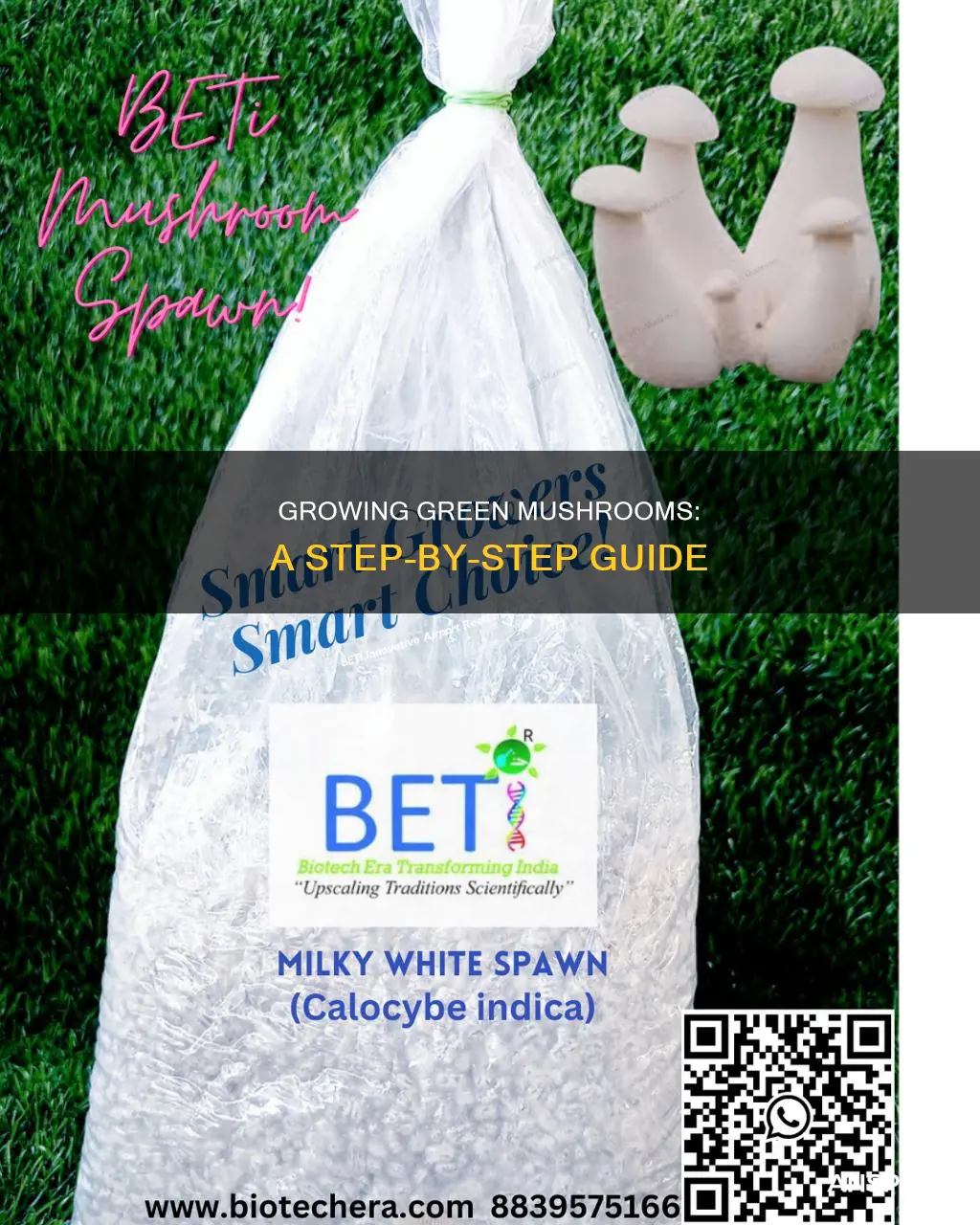 how to spawn green mushroom