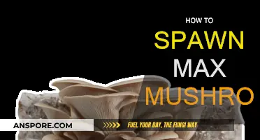 Harvesting Max Mushrooms: The Ultimate Guide to Spawn Techniques