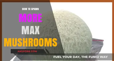 Maximize Your Mushroom Harvest: Proven Tips for Spawning More Max Mushrooms