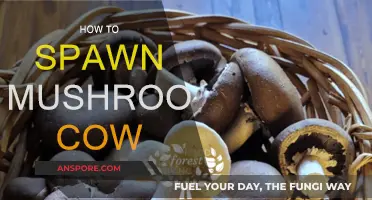 Creating a Mushroom Cow: A Step-by-Step Guide