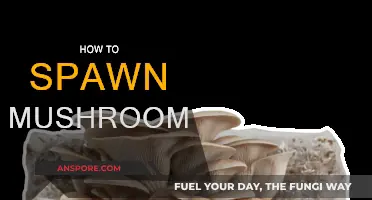 The Ultimate Guide to Spawning Mushrooms at Home