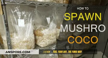 Growing Mushrooms with Coco Coir: A Step-by-Step Guide