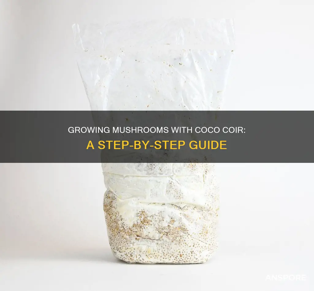 how to spawn mushrooms coco