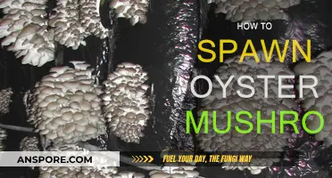 Grow Oyster Mushrooms: A Step-by-Step Guide