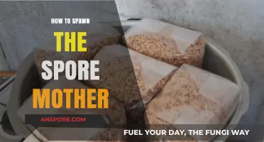 Mastering Spore Mother Spawning: A Comprehensive Guide for Gamers