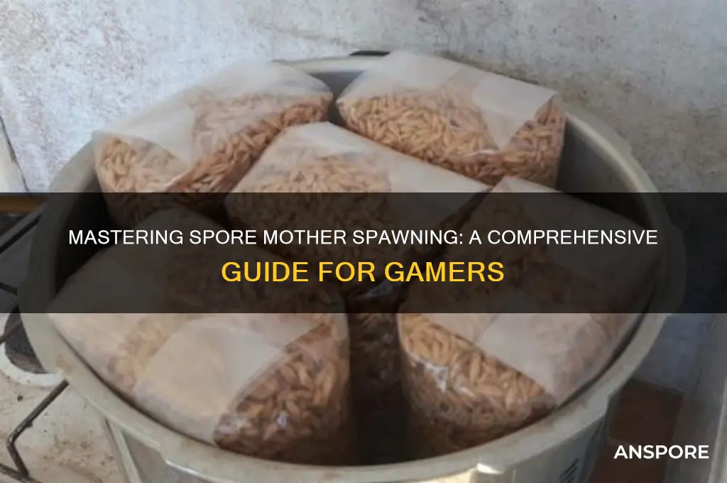 how to spawn the spore mother