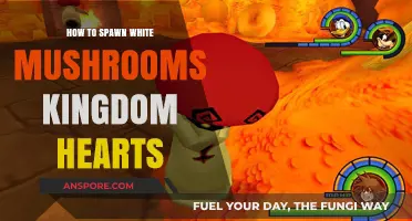 Spawn White Mushrooms in Kingdom Hearts: A Step-by-Step Guide