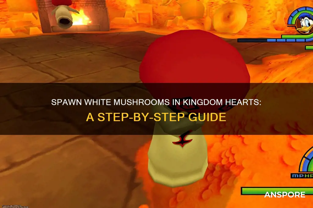 how to spawn white mushrooms kingdom hearts