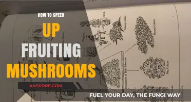 Accelerate Mushroom Fruiting: Proven Techniques for Faster Harvests