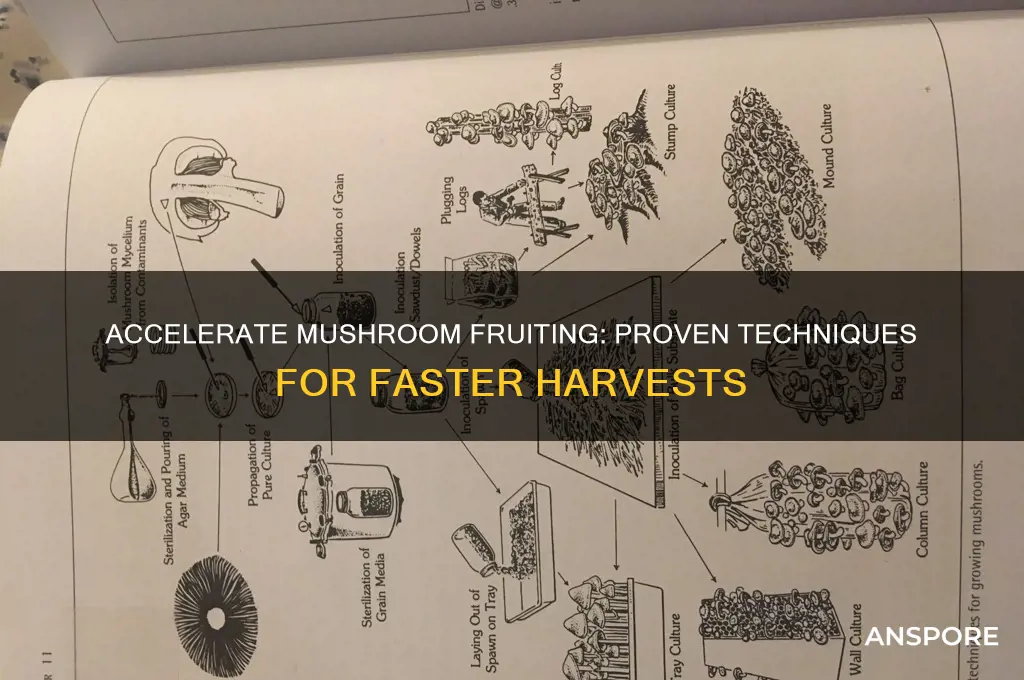 how to speed up fruiting mushrooms