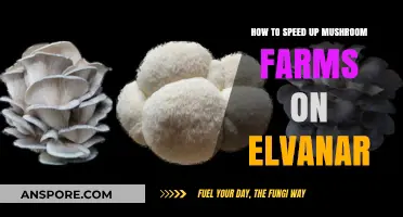 Boosting Mushroom Farm Efficiency: Top Tips for Elvanar Players