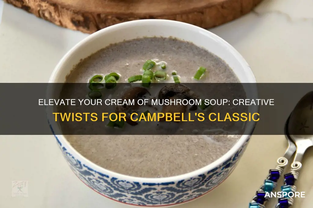 how to spice up cream of mushroom cmapbells