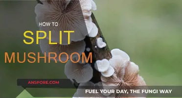 The Best Ways to Split Mushrooms