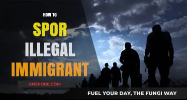 Effective Strategies to Identify and Report Illegal Immigration Activities