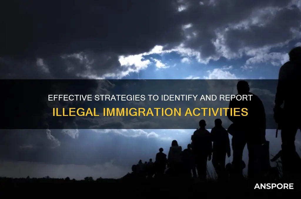 how to spor illegal immigrant