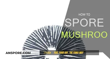 Sporing Mushrooms: A Step-by-Step Guide to Success