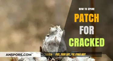 Mastering Spore Patching: A Step-by-Step Guide for Cracked Versions