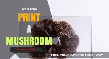 Mastering Mushroom Spore Prints: A Step-by-Step Guide for Beginners
