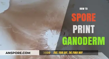 Mastering Ganoderma Spore Printing: A Step-by-Step Guide for Beginners