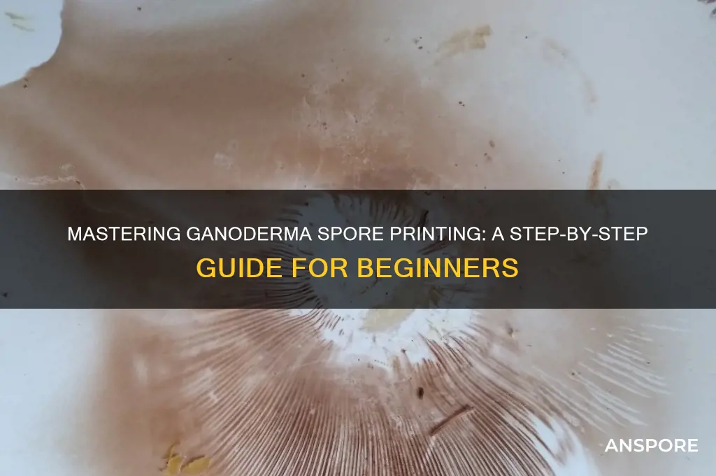 how to spore print ganoderma