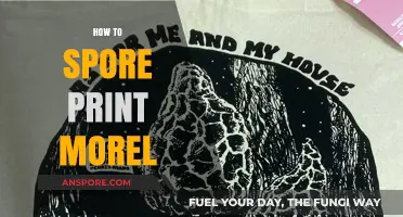 Mastering Morel Spore Prints: A Step-by-Step Guide for Beginners