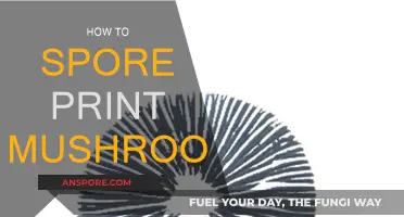 Sporing Mushrooms: An Easy Guide to Spore Printing