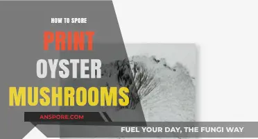 Mastering Spore Prints: A Guide to Oyster Mushroom Documentation