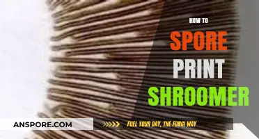 Mastering Spore Prints: A Step-by-Step Guide for Shroomery Enthusiasts