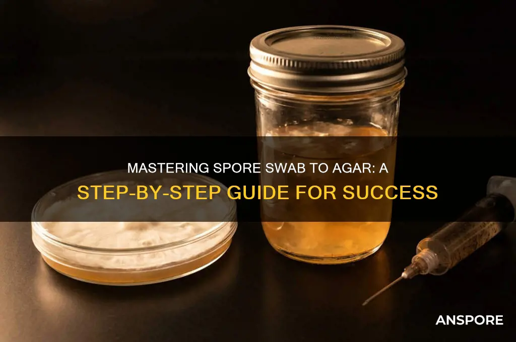 how to spore swab to agar