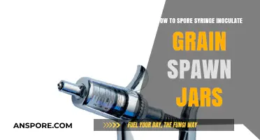 Mastering Spore Syringe Inoculation for Grain Spawn Jars: A Guide