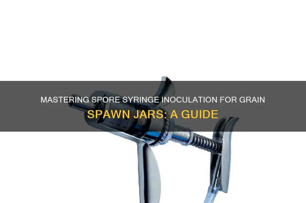 how to spore syringe inoculate grain spawn jars