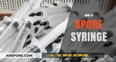 Mastering Spore Syringe Techniques: A Step-by-Step Guide for Beginners