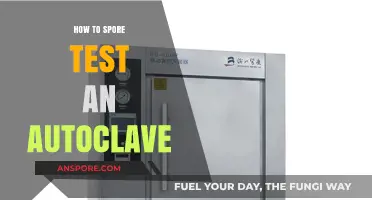 Mastering Autoclave Sterilization: A Step-by-Step Guide to Spore Testing