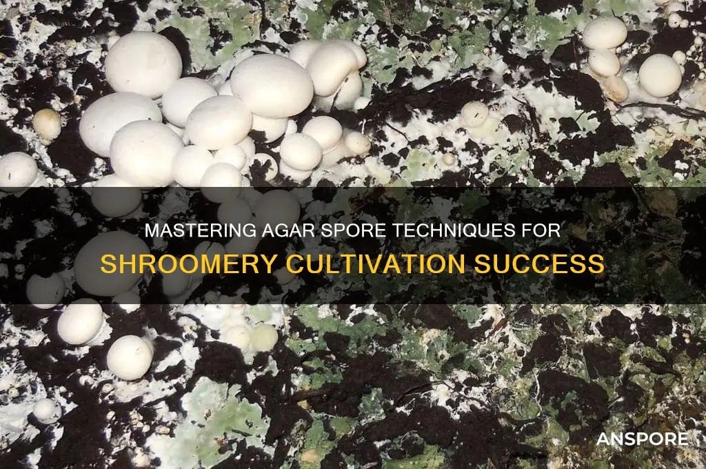 how to spores agar shroomery