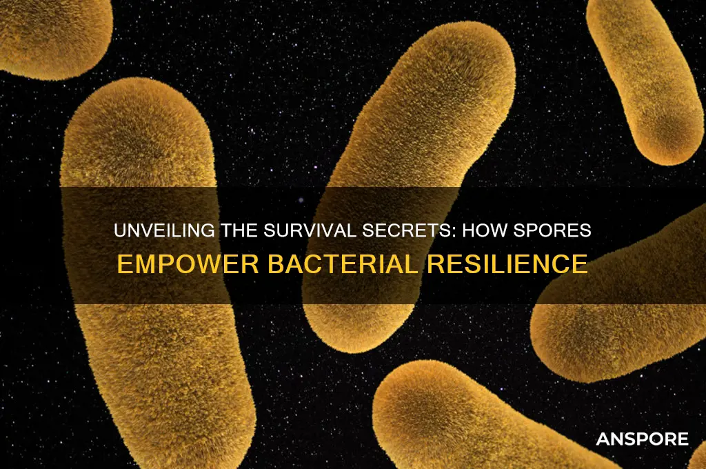 how to spores benefit bacteria
