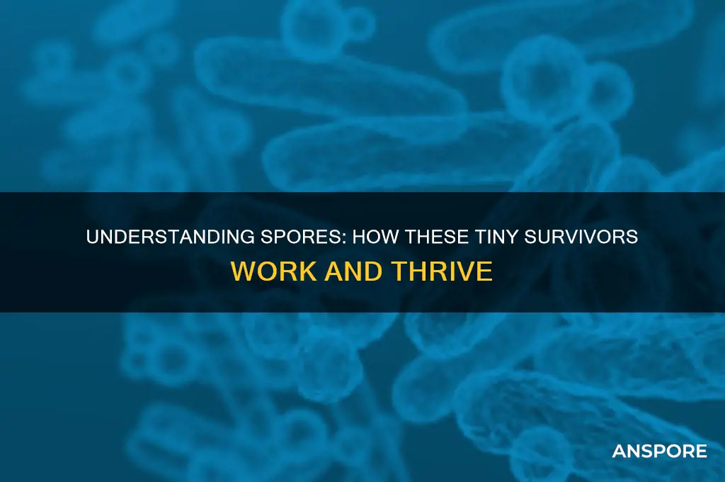 how to spores work