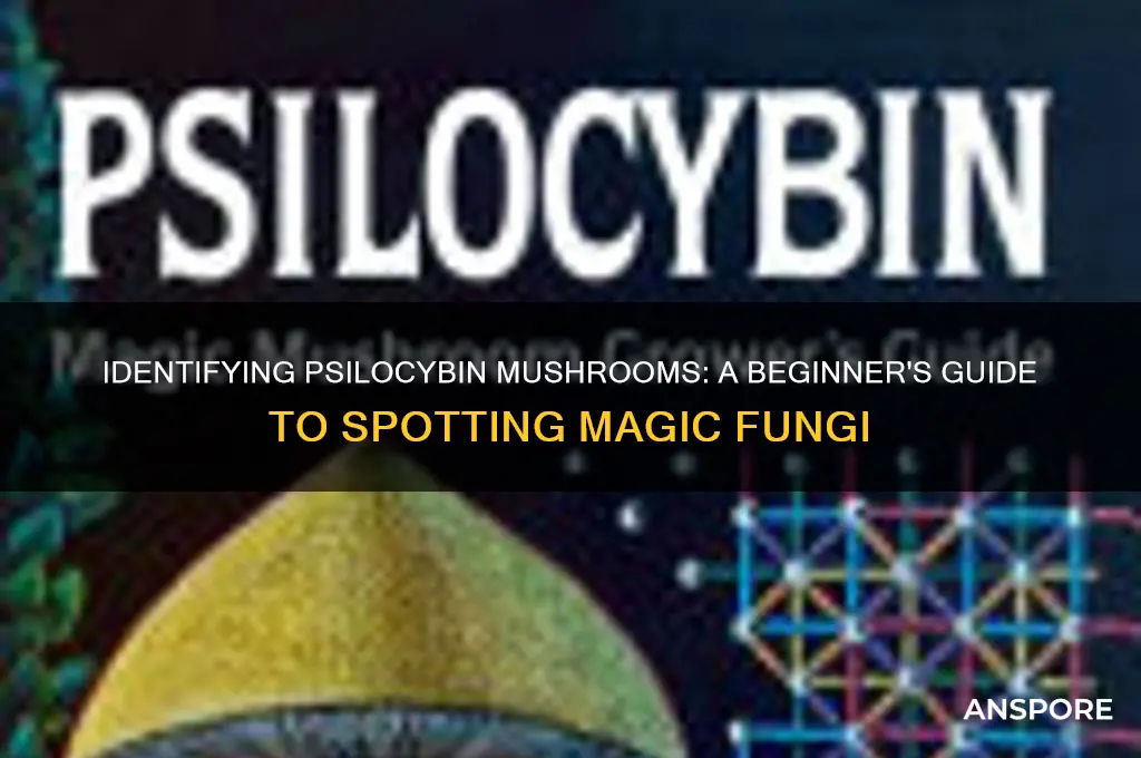 how to spot a psilcocybin mushroom